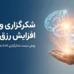 شکرگزاری